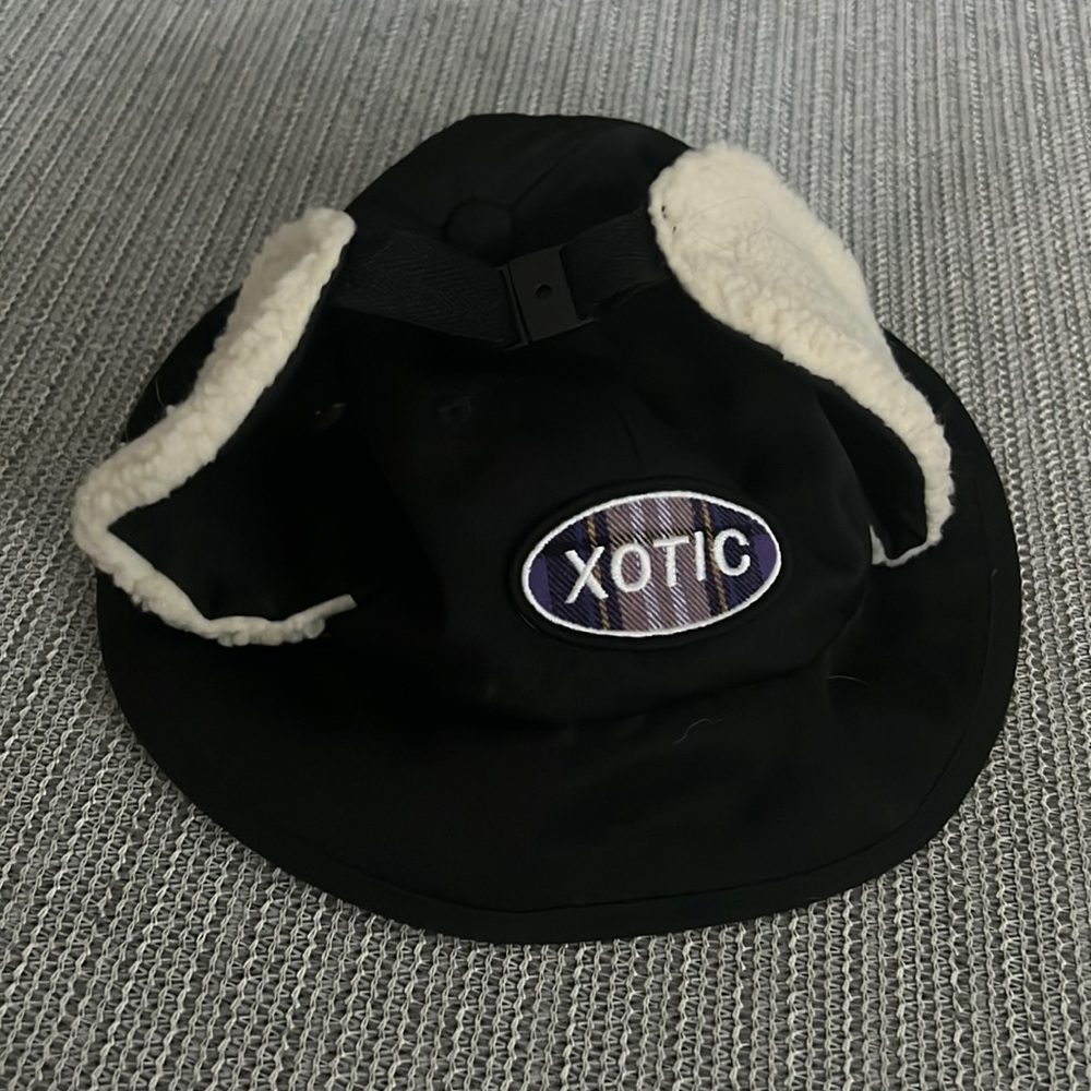 Hat with ear cover